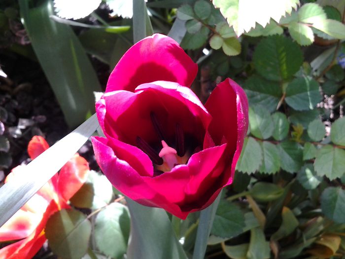 20150418_105044