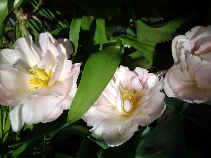 20150418_105011