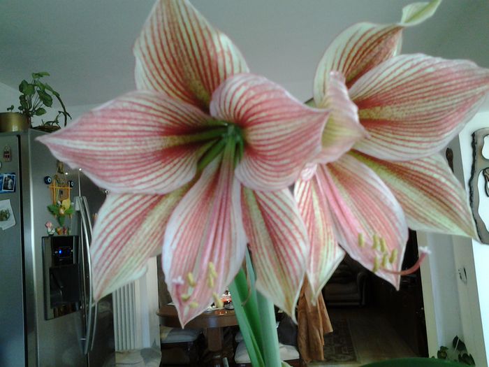 20150416_155405