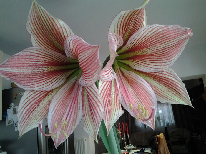 20150416_155413