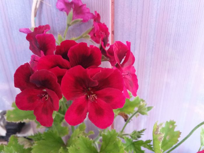 20150420_173605