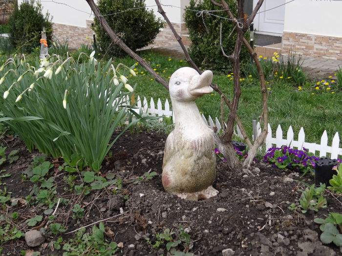 19 aprilie - A venit Primavara