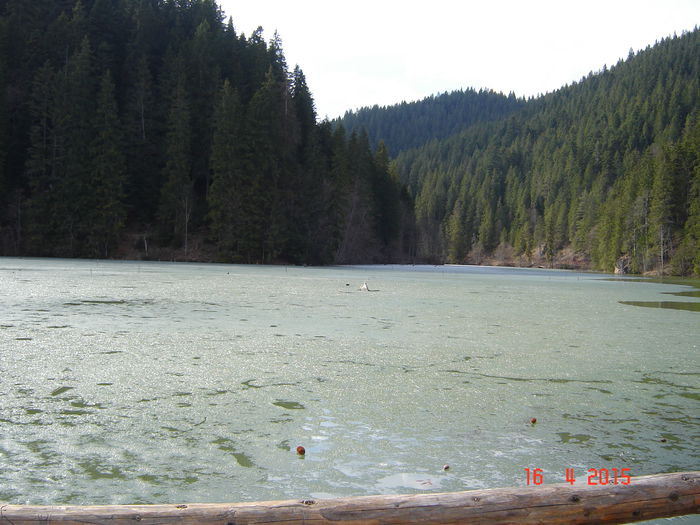 DSC01219; LACU ROSU 20 04 2015
