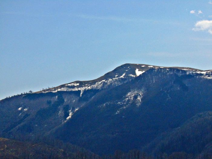 DSC06676 - Poze natura