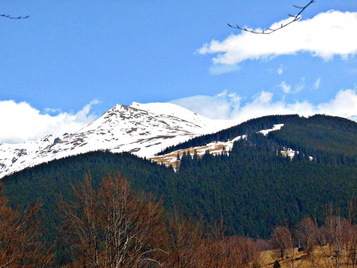 DSC06683 - Poze natura