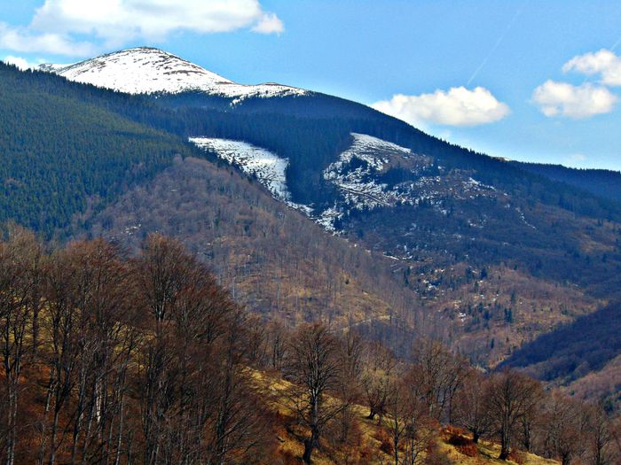 DSC06698 - Poze natura