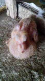 102819670_KMAOCGA[1]