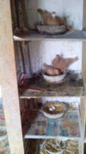 102819672_ZMGFMLU3[1]