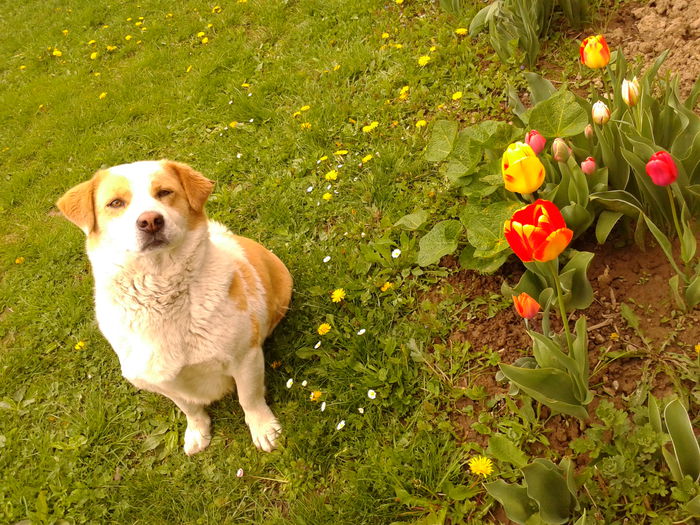 Fotografie0018 - AAAAAAAAA_OSMAN_IN MEMORIAM