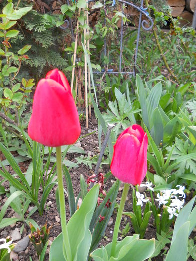 2301 - primavara 2015