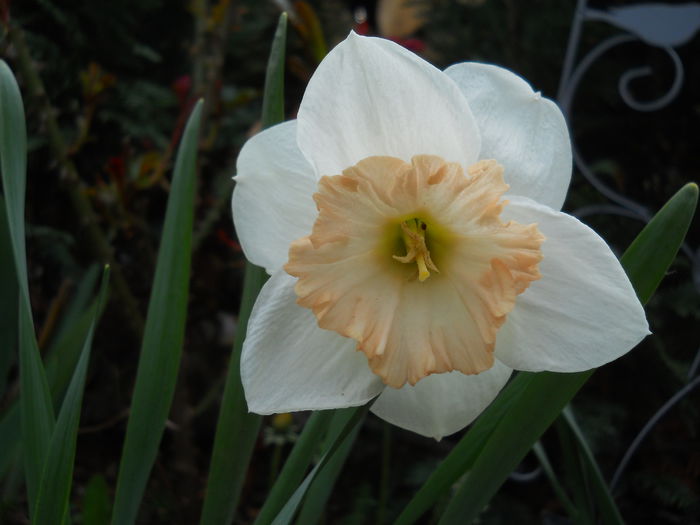 2306 - primavara 2015