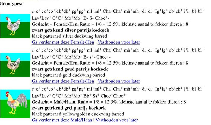 rezultat 1 - 021-Proiect- Crele sau potarnichiu barat