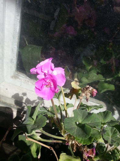 20150421_044606