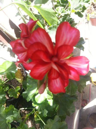20150421_044616