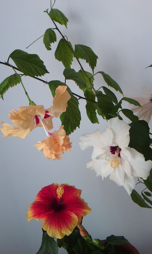 2015-04-21 17.59.07