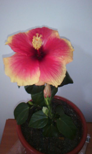 2015-04-21 16.53.30