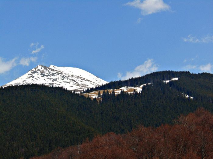 DSC06704 - Poze natura