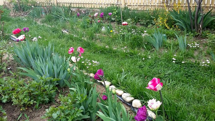 20150418_152536