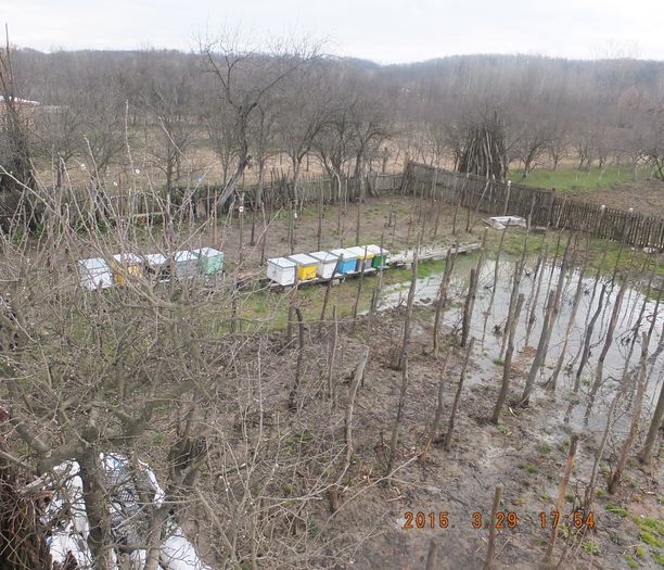 DSCF5738(1); Cateva precipitatii mai generoase.
