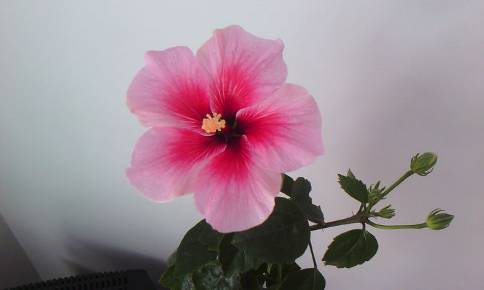 2015-04-22 15.22.26