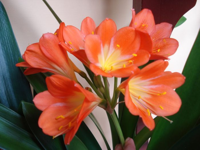 final de aprilie (1) - b 2015 - in interior