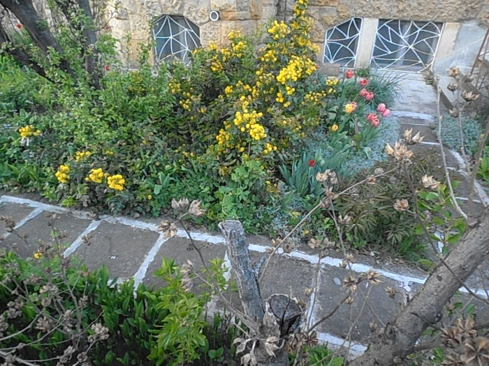P4220383