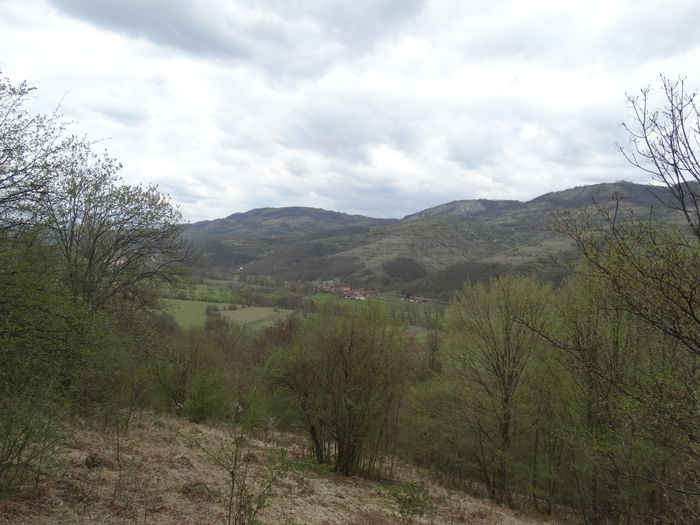 DSC00071 - Diverse fotografii