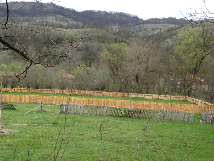 DSC00102 - Diverse fotografii