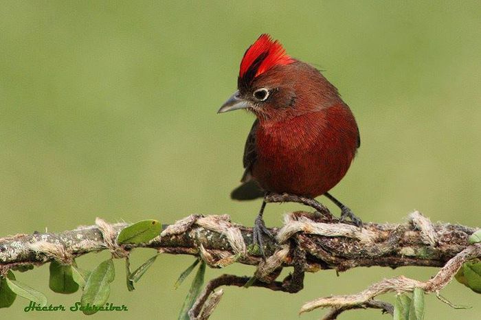  - FRUMUSETI  MONDIALE