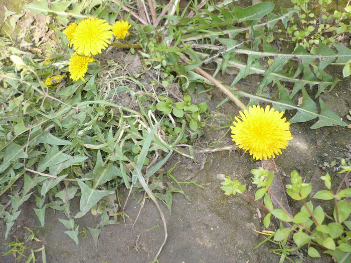 Picture 405