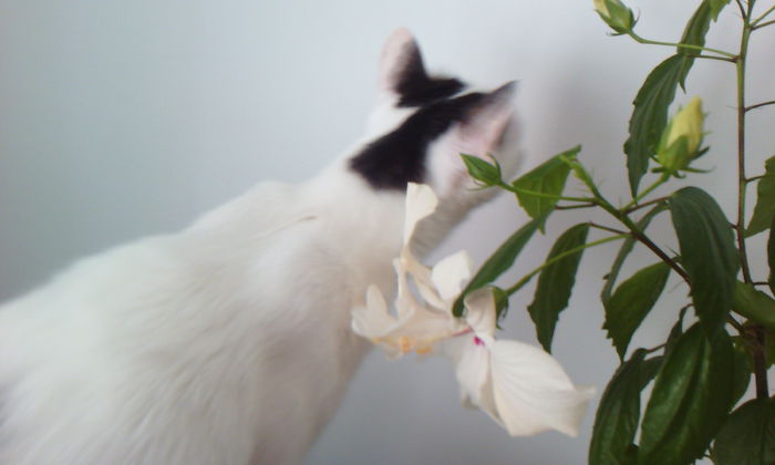 2015-04-17 17.04.06 - FELIX