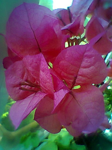 Fotogr.2079