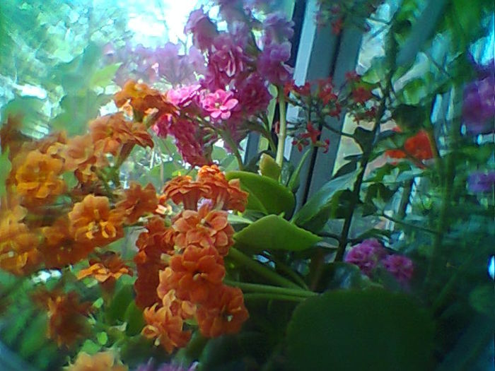 Fotogr.2090