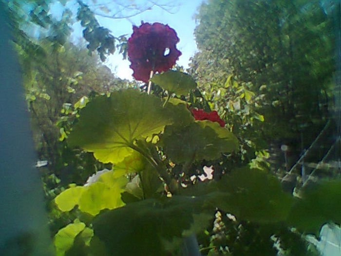 Fotogr.2094