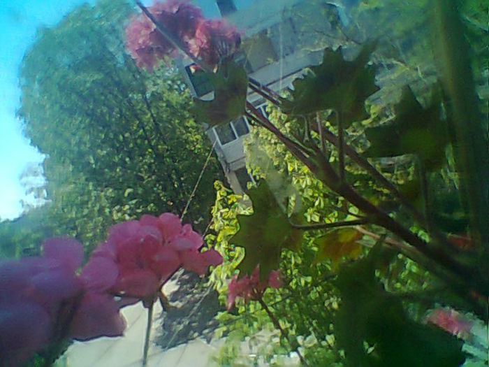 Fotogr.2095