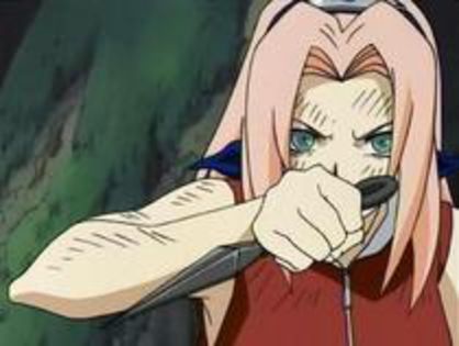 31563337_JDYLIMBVL - Hai sa editam