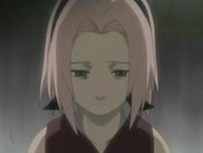 31564027_YOOEUDZFP - Hai sa editam