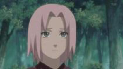 31578647_IIGNFTQEW - Hai sa editam