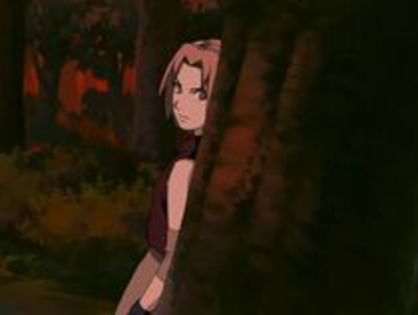 31578677_SVJRDSYRY - Hai sa editam