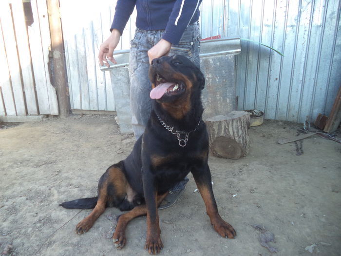 DSC03036 - Cateii mei dragi