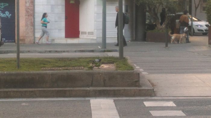 IMAG0137 - Spania-Franta-2015