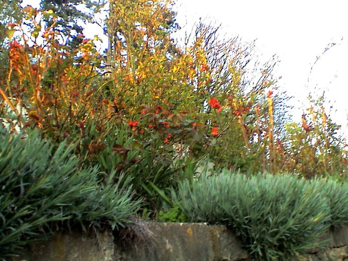 DSC01188