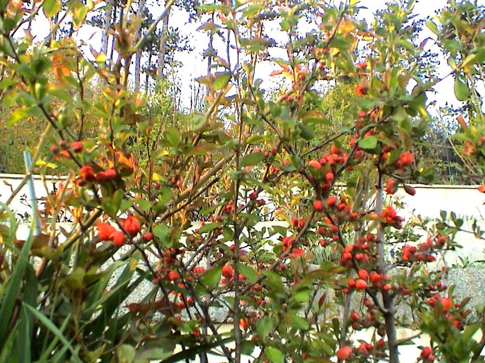 DSC01190