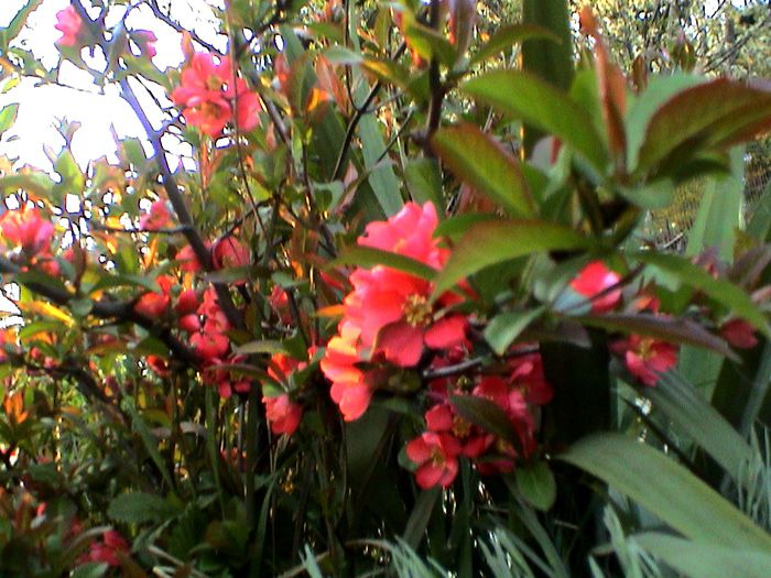 DSC01192