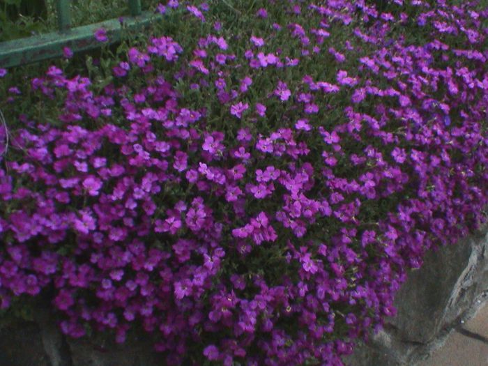 DSC01238