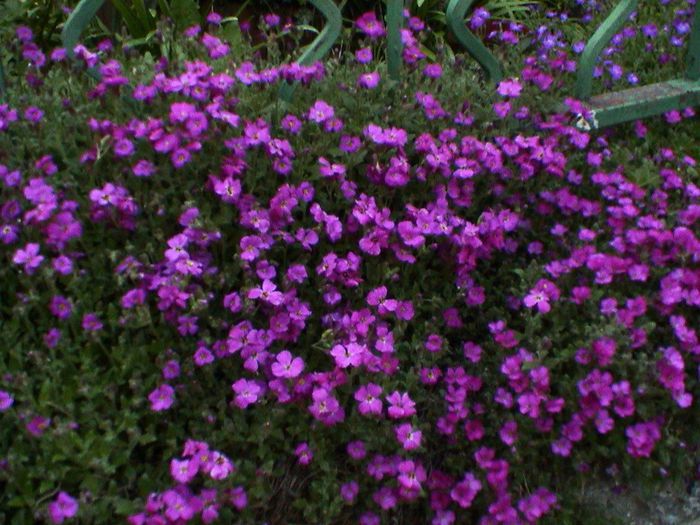 DSC01239