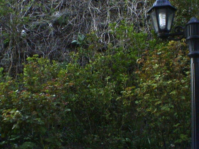 DSC01245