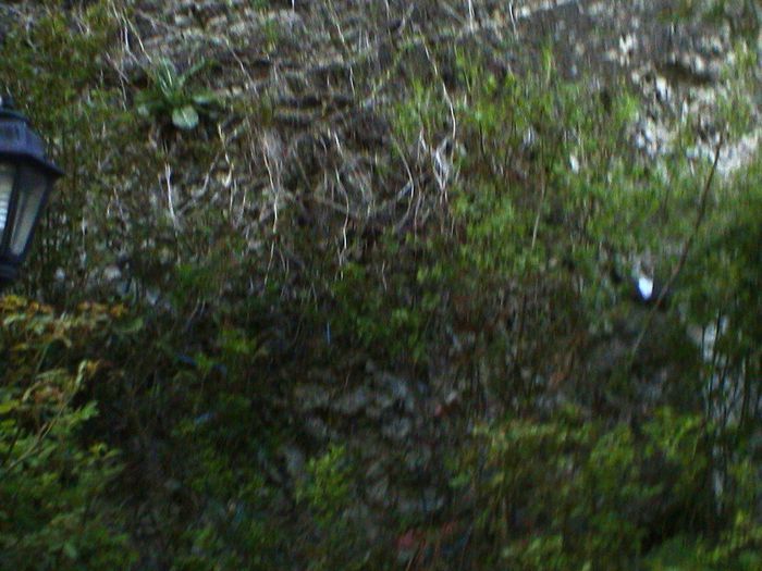 DSC01247