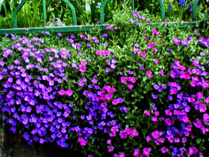 DSC01233