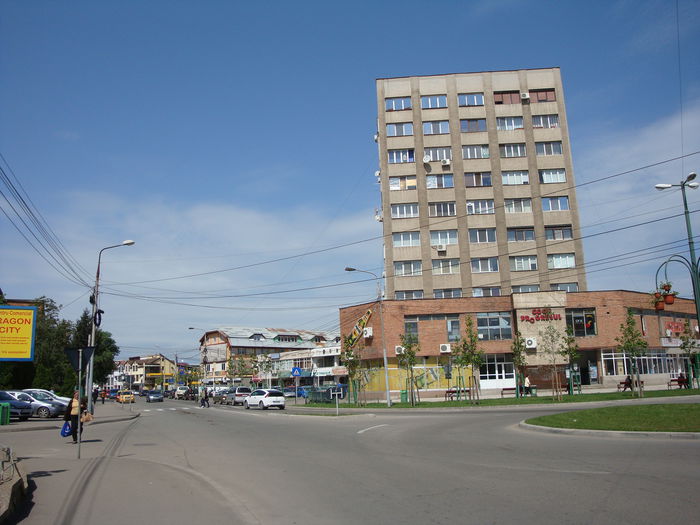 DSC04550